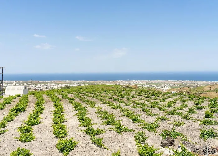 Ampelos Executive Lägenhet *