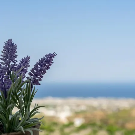 Ampelonas Executive Houses شقة