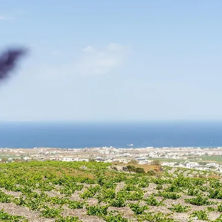 Ampelonas Executive Houses * Pýrgos