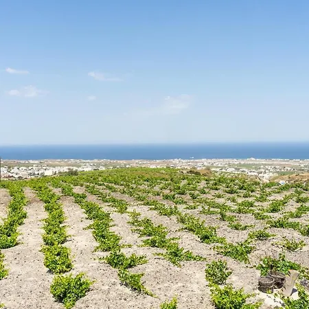 Ampelonas Executive Houses شقة *