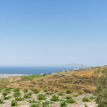 Ampelonas Executive Houses *