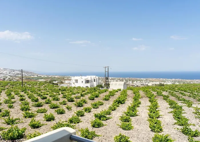 Ampelos Executive Apartmán *