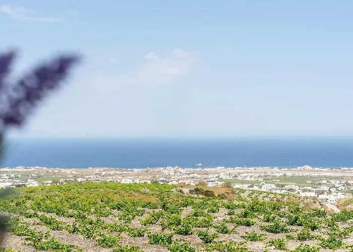 Ampelos Executive * Pýrgos