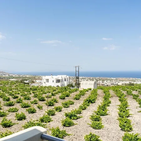 Ampelonas Executive Houses Apartment *